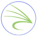 Snowfly logo