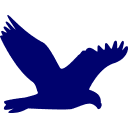 Vigilant logo